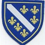 Image result for Bosnia Military