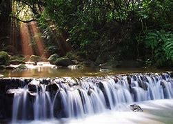Image result for Moving Nature Wallpaper