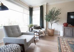 Image result for Living Room Window Shades