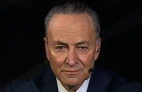 Image result for Schumer AM