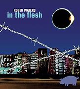 Image result for Roger Waters Snowy White Doyle Bramhall