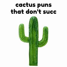 Image result for Cactus Puns for Books