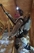 Image result for Attic Mold Removal DIY