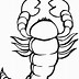 Image result for Scorpion Line Art