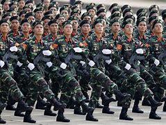 Image result for Vietnamese Army