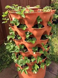 Image result for Extra Large Strawberry Planter