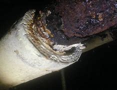 Image result for Asbestos Inspection