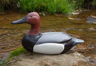 Image result for free picture of a decoy duck and a real duck
