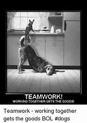 Image result for Workplace Teamwork Quotes for the Dog