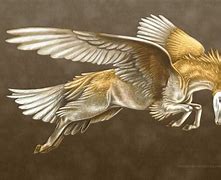 Image result for Horned Winged Muscular Creature