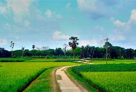 Image result for Bangladesh Land