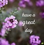 Image result for Good Morning Have an Amazing Day