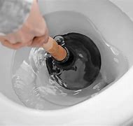 Image result for How to Unblock a Toilet
