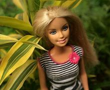 Image result for Barbie Controversy