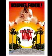 Image result for Beverly Hills Ninja Movie