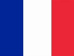 Image result for Vichy France Symbol