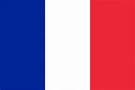 Image result for Vichy France Square Flag