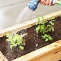 Image result for Vegetable Planter Box Plans
