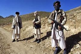 Image result for Talibán PFP