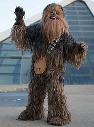 Image result for Adult Deluxe Chewbacca Costume | Adult | Mens | Brown | XL | Rubies Costume Co. Inc