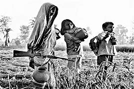 Image result for Bangladesh War Women