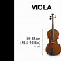 Image result for Difference Between Violin and Viola Physically