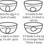 Image result for How to Tell If Eggs Are Still Good
