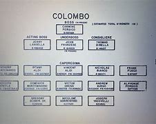 Image result for Colombo Mob Family