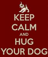 Image result for Dog Keep Calm Quotes