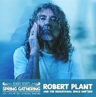 Image result for Robert Plant Hair