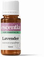 Image result for Lavender Pure Essential Oil (GC/MS Tested), 1/2 Fl Oz (15 Ml) Dropper Bottle