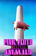 Image result for Pink Floyd Sheep Animals