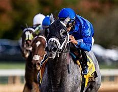Image result for Top Kentucky Derby Contenders 2020
