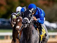 Image result for Top Kentucky Derby Contenders 2020