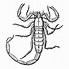 Image result for Cool Samuri Scorpion Clip Art