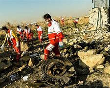 Image result for 737 Crash Iran