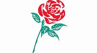Image result for Labour Party Logo Flower