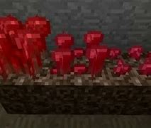 Image result for Nether Wart