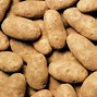 Image result for Potato Storage Root Cellar