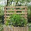 Image result for Building Planter Boxes Out of Pallets