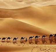 Image result for Saudi Arabian Desert