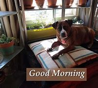 Image result for Quirky Good Morning Meme