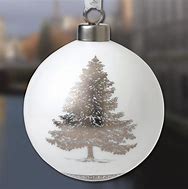 Image result for Wedgwood Ball Ornaments