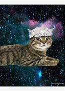 Image result for Tin Foil Cat Meme
