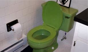 Image result for Green Toilet