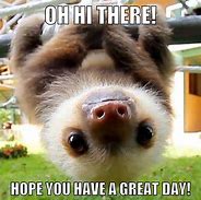 Image result for Happy Friday Friends Sloth Meme