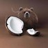 Image result for Cute Random Objects