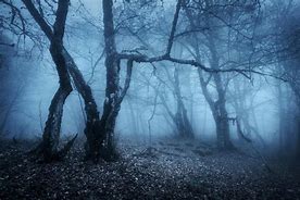 Image result for tormented in the night