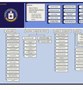Image result for CIA Special Agent
