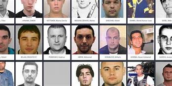 Image result for Most Wanted Nederland